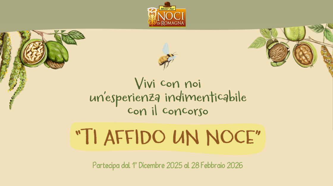TI AFFIDO UN NOCE